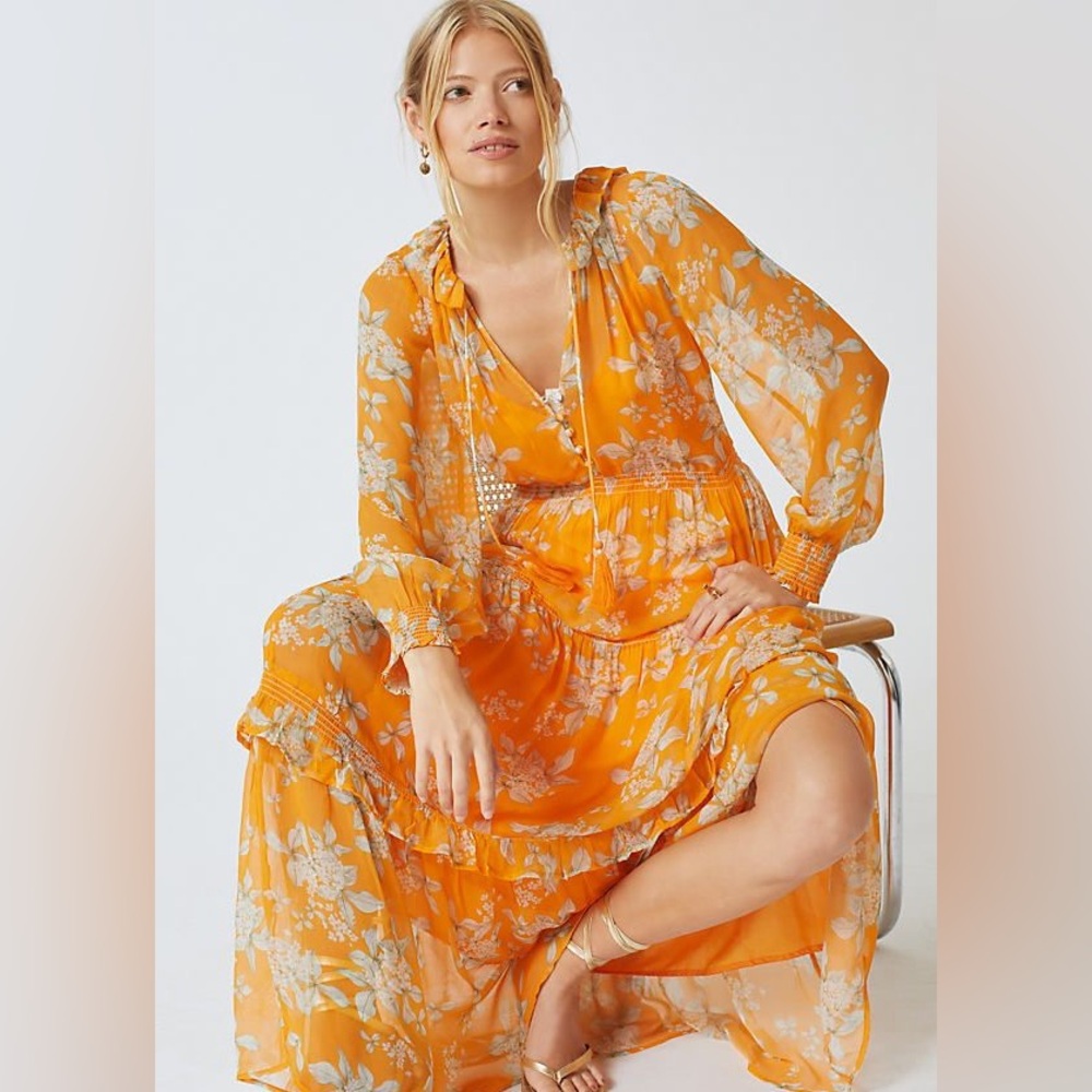 Anthropologie The Marais Printed Chiffon Maxi Dress floral size XS boho cottage